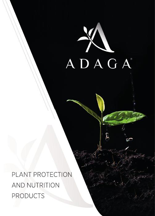 ADAGA EN
