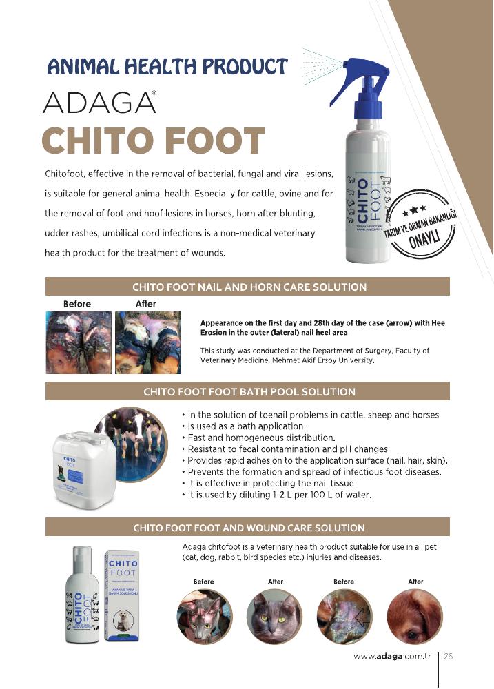 Chito Foot EN